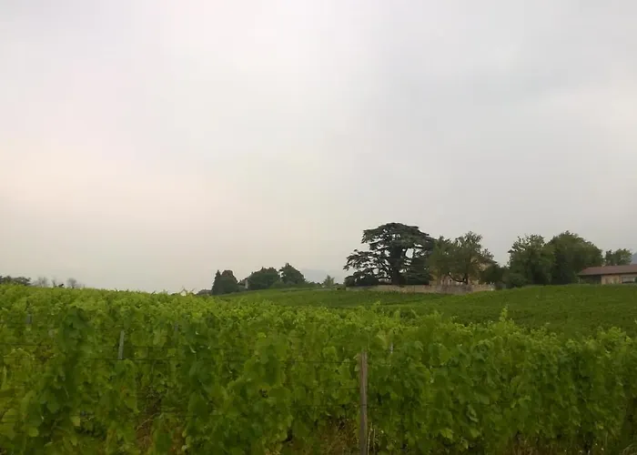 Chateau La Violette Les Marches