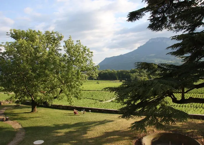 Panzió Chateau La Violette 3*