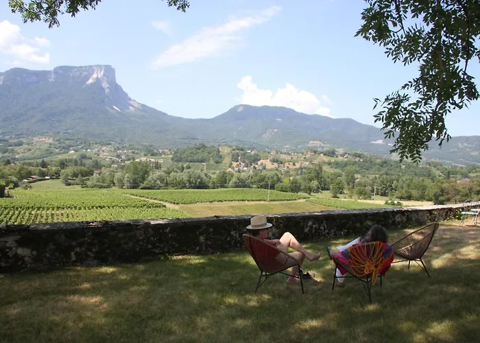 Chateau La Violette