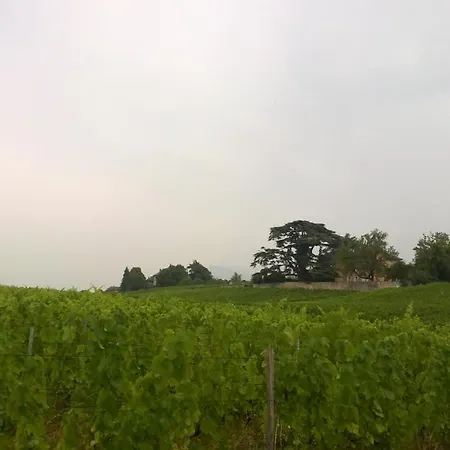 Chateau La Violette Les Marches