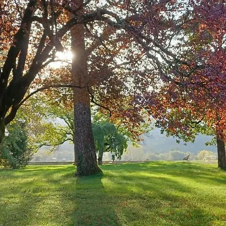 Chateau La Violette Bed & Breakfast *